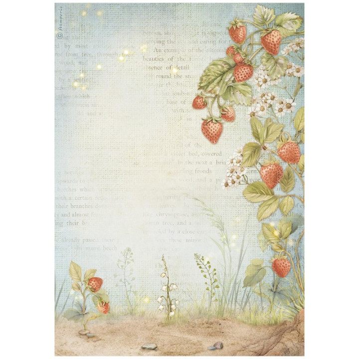 copy of 
